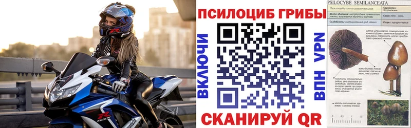 omg ССЫЛКА  Окуловка  Галлюциногенные грибы ЛСД 